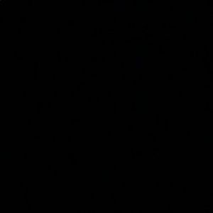 Meet your Posher, Livvy